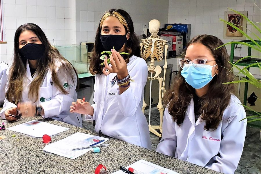 Acões – Homenagem ao mês da Consciência Negra